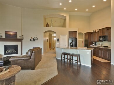 Open Concept