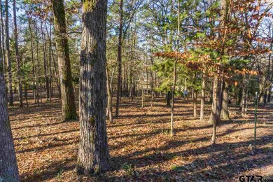 14330 Eastside Rd, Tyler, TX 75707 - photo 5