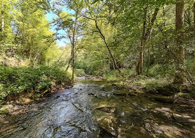 9765 Little Snowbird Rd, Robbinsville, NC 28771 - photo 4