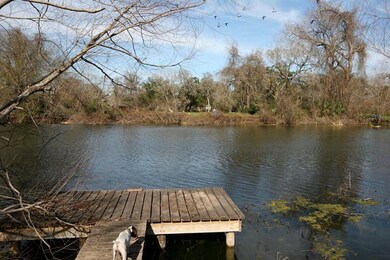 20341 Bubba St, Brazoria, TX 77422 - photo 4