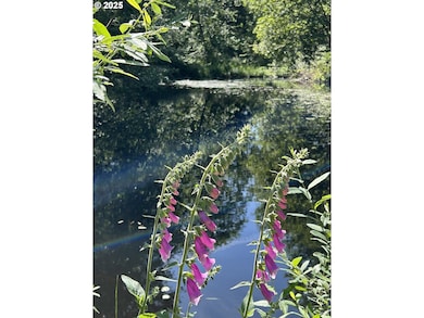 1 E Brightwood Loop Rd, Mount Hood Village, OR 97011 - photo 2