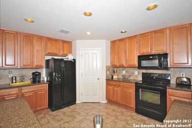 10519 Cenizo Field, Helotes, TX 78023 - photo 6