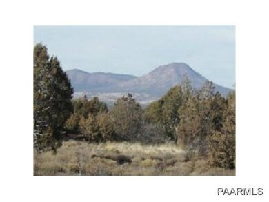 254 Last Chance, Ash Fork, AZ 86320 - photo 4