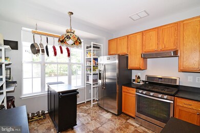 20456 Cool Fern Square, Ashburn, VA 20147 - photo 7