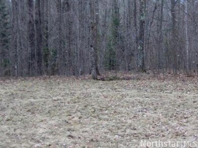 17983 476th Ln, McGregor, MN 55760 - photo 6