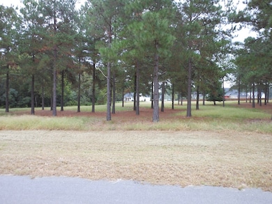 0 Shady Oak Ct, Waynesboro, GA 30830 - photo 7