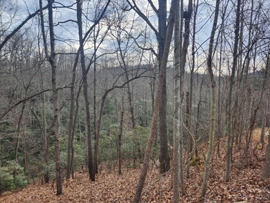 145 Ivywood Ln unit 10, Laurel Park, NC 28739 - photo 7