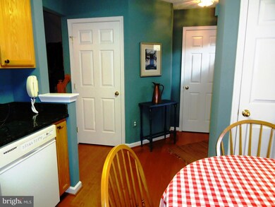 7964 Brightlight Place, Ellicott City, MD 21043 - photo 4