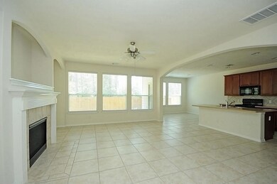 7 Aquiline Oaks Place, Spring, TX 77382 - photo 7