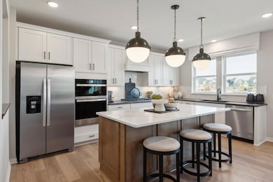 15036 Amber Fields Blvd, Rosemount, MN 55068 - photo 4