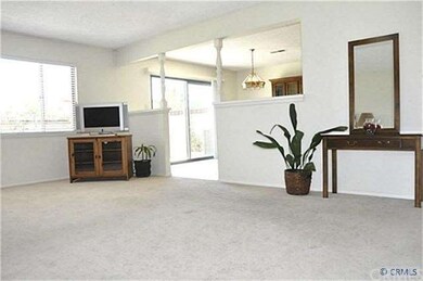 Spacious Living Room