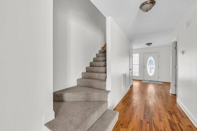1776 Thasher Pike 5