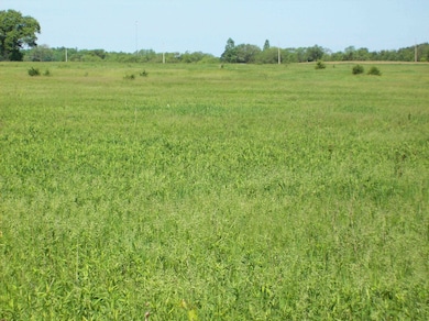 N3780 Fandrich St, Oxford, WI 53952 - photo 6