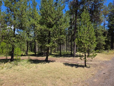 17168 Azusa Rd, Three Rivers, OR 97707 - photo 4