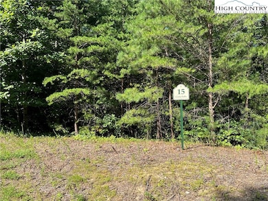 Lot 15C Cielo Ridge Way, Purlear, NC 28665 - photo 2