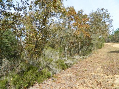 130 Lake Lucy Court (6)