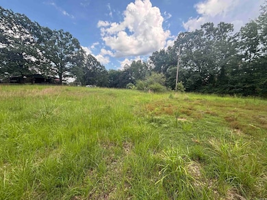 329 A Highway 287, Greenbrier, AR 72058 - photo 4