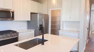 15041 Athenry Bay, Rosemount, MN 55068 - photo 3