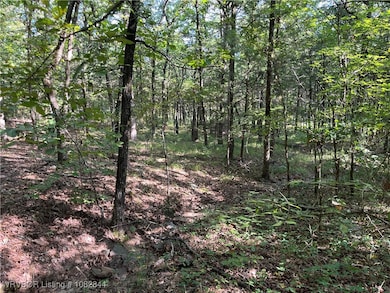 2021 Goats Bluff Rd, Wister, OK 74966 - photo 4