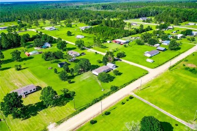 4159 Folks Dr, Blackshear, GA 31516 - photo 6