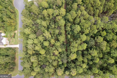 V/L 173A Misty Harbor, Woodbine, GA 31569 - photo 4