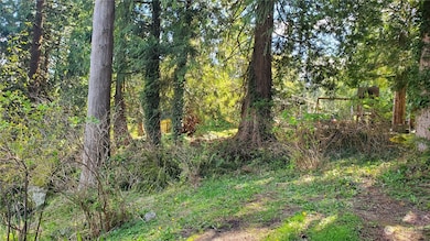 750 West Rd, Sedro Woolley, WA 98284 - photo 2