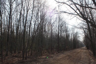 50XX S Maple Dr, Poplar, WI 54864 - photo 6