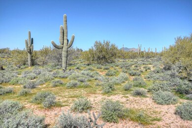 7176 East Dixileta Drive-MLS_Size-006-9-