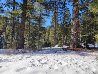 230 Ponderosa Ln, Cascade, ID 83611 - photo 3
