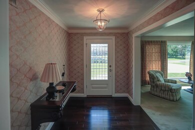 4 Cherry Tree Ln, Freeburg, IL 62243 - photo 2