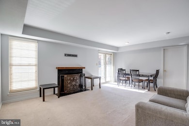 12154 Penderview Terrace unit 1231, Fairfax, VA 22033 - photo 5