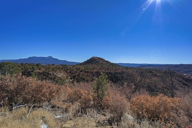 14633 Rancho Verde Rd, Trinidad, CO 81082 - photo 3