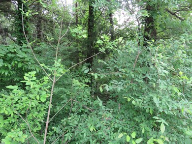 Tract 3 Recreational Road 3, Bonham, TX 75418 - photo 2