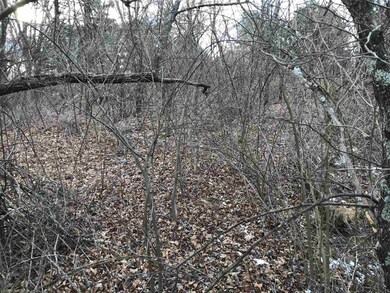 0 Fairview St unit 400667, Bland, VA 24315 - photo 4