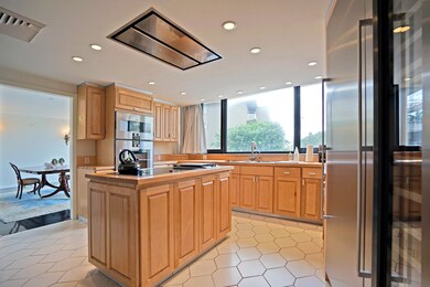 Chef's kitchen