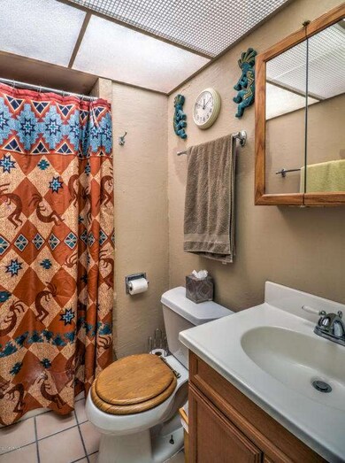 Master Bathroom 1