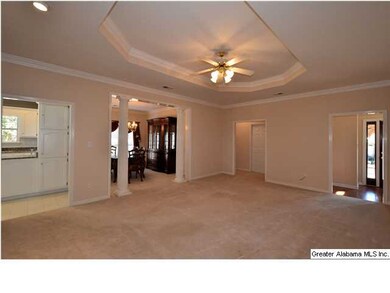 SPACIOUS GREAT ROOM WITH TRAY CEILING AND LOTS OF 