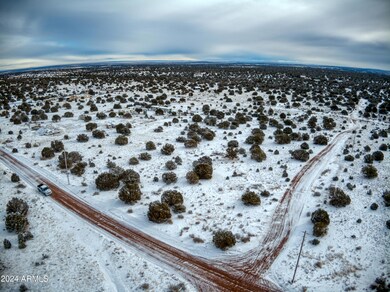 DJI_0981