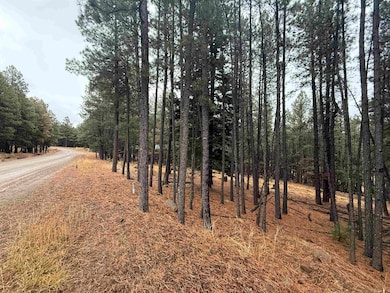 Lot 75 San Juan Dr, Angel Fire, NM 87710 - photo 2