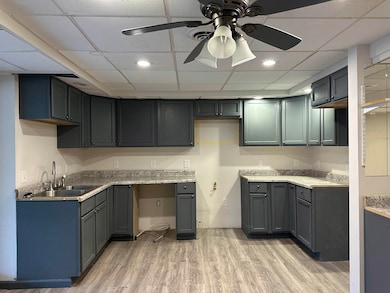 11027 Hillcrest Ln, Savanna, IL 61074 - photo 5