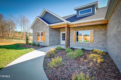 310 Ruby Rose Ridge, Jonesborough, TN 37659 - photo 3