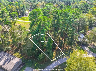 0 Harbor Point Section B, Trinity, TX 75862 - photo 5