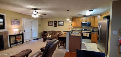 1003 Woullard Way unit 1, Sevierville, TN 37876 - photo 6