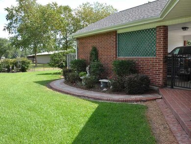 Yard/Garden.