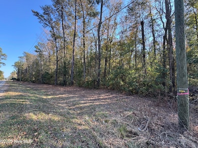 0 Near 715 N Carolina 133, Rocky Point, NC 28457 - photo 2