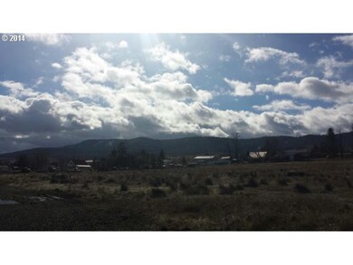 200 Eagle St, Long Creek, OR 97856 - photo 6