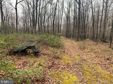 19-A Sparrow Hill Rd, Bloomery, WV 25434 - photo 4