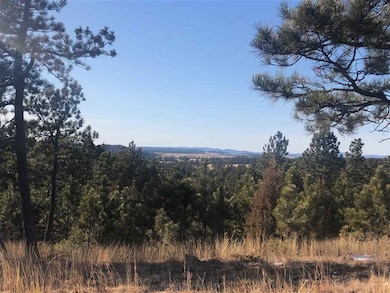 Big Sky 9 Elk Run Rd unit Canyon Rim Ranch, Custer, SD 57730 - photo 4