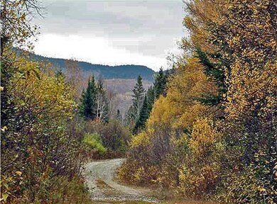 off-owlsboro-road