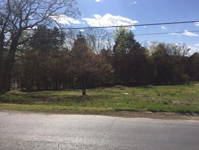 Lot 4 Hoot Owl Pt 4th Addn, Kimberling City, MO 65686 - photo 5